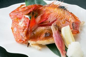 Seafood Cuisine Kirakutei