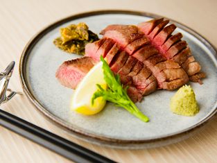 Meshi, sometimes salmon Area022